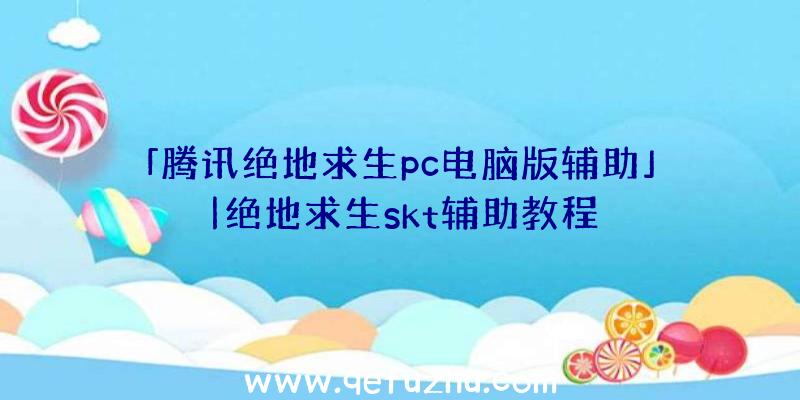 「腾讯绝地求生pc电脑版辅助」|绝地求生skt辅助教程